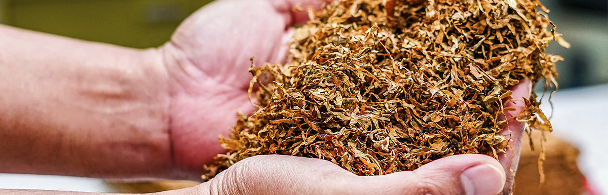 Quels sont les vrais effets de la nicotine ?